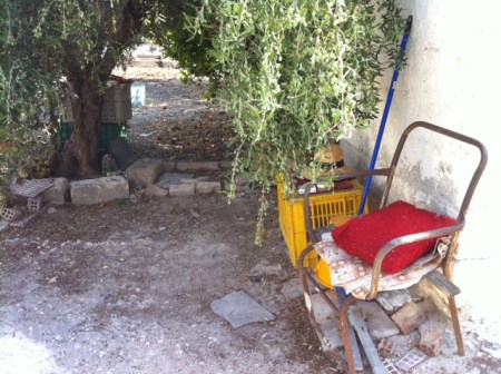 The chair my Yiayia Maria sits in most days, whiling the time away under the old olive tree.
