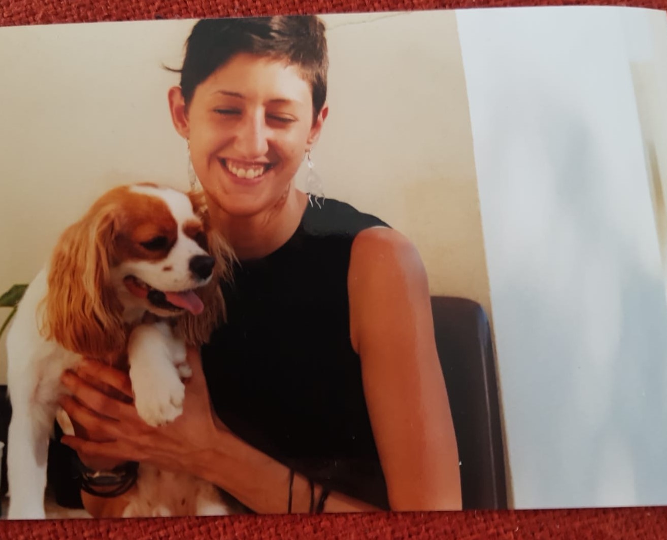 282c9681-8eb5-452e-ab1e-fbddd148c73e